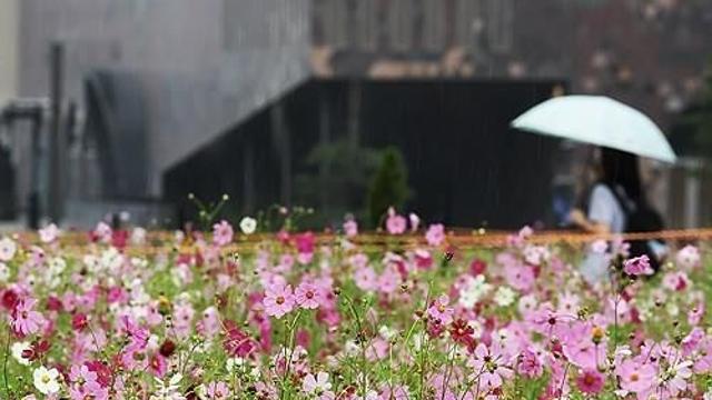 충북 흐리고 가끔 비…낮 최고 24∼27도