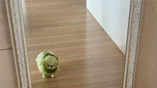 어느 푸드 스타일리스트