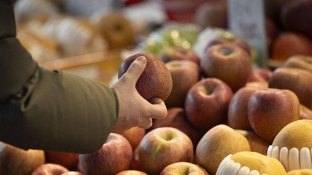 사과 크기 줄어들자 특상품과 중하품 가격 차 역대 '최대'