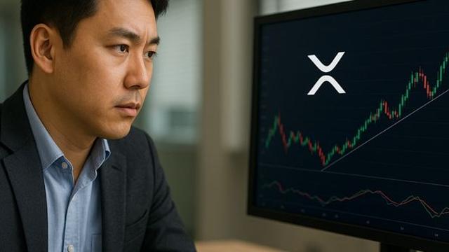 고래들 움직였다... 암호화폐(코인) 리플, 다음 목표는 4달러일까 붕괴일까