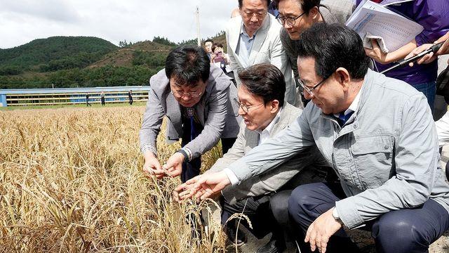 金총리, 전남 장흥 '벼 깨씨무늬병' 피해 현장 점검
