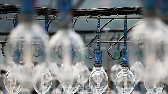 돈 받고 베트남 동포 제주도 이탈 도운 30대 선원 징역형