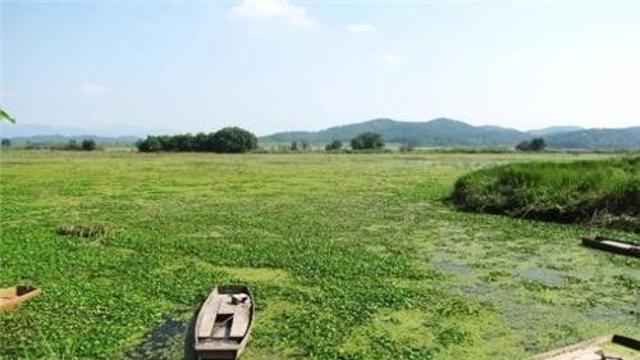 창녕 대표 가을 축제 '비사벌문화제' 24∼26일 펼친다