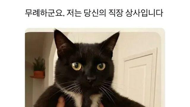 무례하군요. 저는 당신의 직작상사입니다.,,