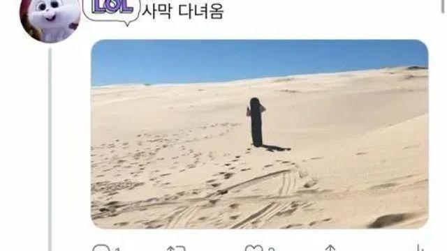 선인장이에요.,,