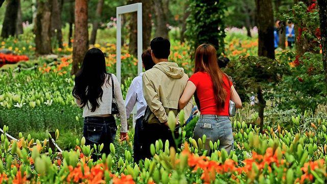 대전·세종·충남 흐리고 곳곳 안개…낮 최고 23∼26도