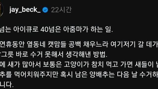 140넘는 아이큐로 40넘은 아줌마가 하는 일