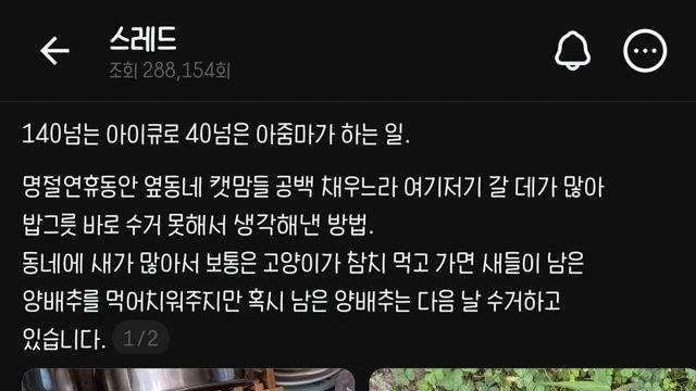 아이큐 140 캣맘 밥그릇 근황