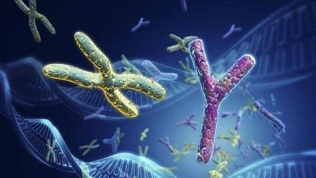 왜 남자가 여자보다 먼저 죽을까?…과학계의 유력 해답