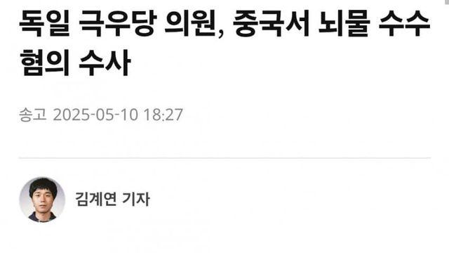 깜짝깜짝 독일 극우정당....충격 근황....JPG