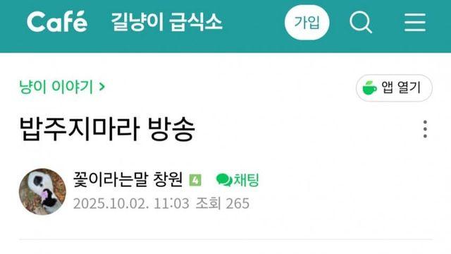 제인구달 욕하는 캣맘들