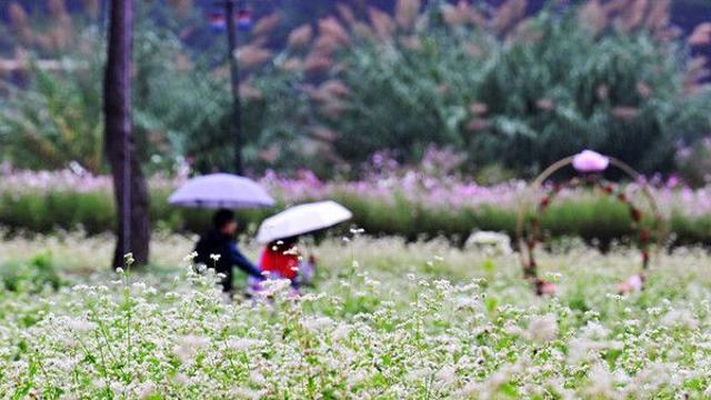 대구·경북 흐리다 차차 맑아져…한낮 24도, 미세먼지 '좋음'