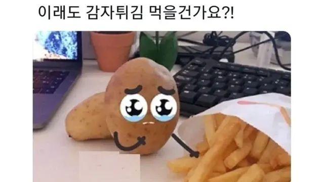 이래도 감자튀김 먹을건가요?,,