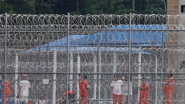 5년간 미국서 강제추방된 한국인 367명…정부 파악인원의 5배
