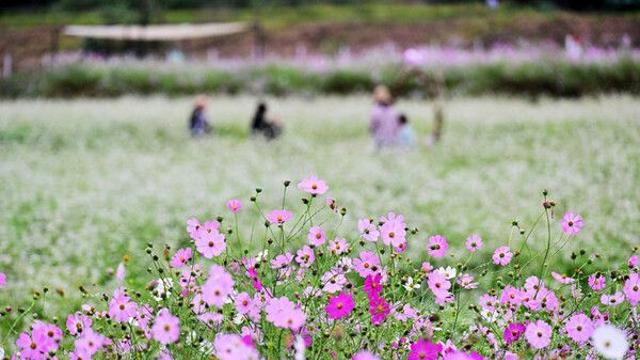연휴 마지막, 한글날 대체로 맑음…강원 동해안·산지 비[내일날씨]