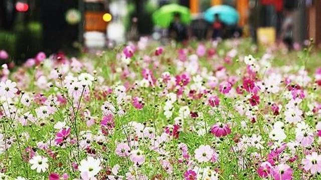 대구·경북 흐리고 동해안에 가끔 비…낮 기온 20∼24도