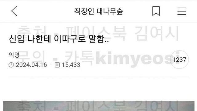 신입이 나한테 이따구로 말함