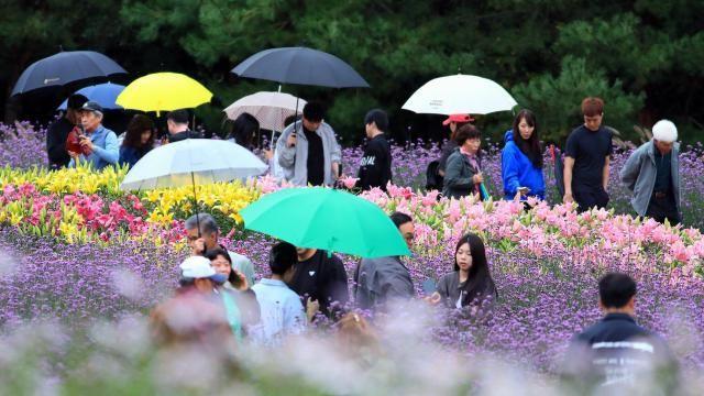 [내일날씨] 전국 흐린 날씨 속 곳곳 비…최고기온 서울 18도·광주 27도