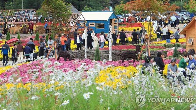 가을꽃부터 황태까지…인제군, 10월 한달 행사·축제 다채