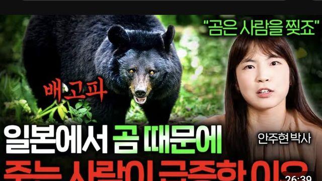 현재 곰맘들 출몰한 유튜브 영상
