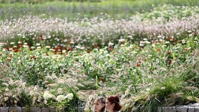 [날씨] 오늘 전국 흐리고 곳곳 비…낮 최고 서울 18도·광주 27도