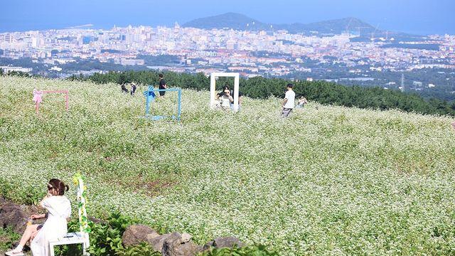 제주 대체로 맑음…낮 최고 27∼29도