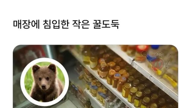 혈당 스파이크 온 불곰