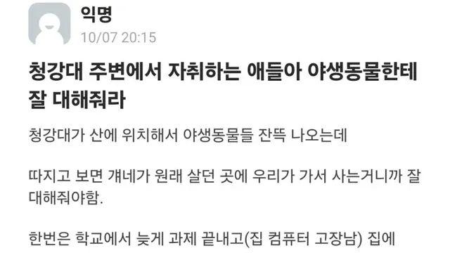 수리부엉이를 살려준 대학생