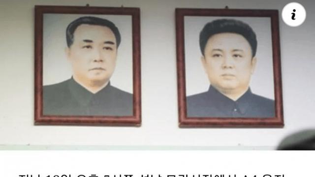 모란시장에서 북돼지들 사진이 발견된 이유.jpg