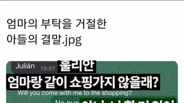 엄마의 부탁을 거절한 아들의 결말 