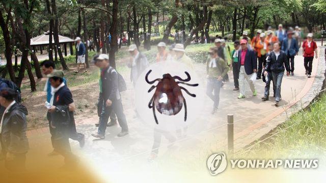 광주서 쯔쯔가무시증 10∼11월 80％ 발생 '주의보'