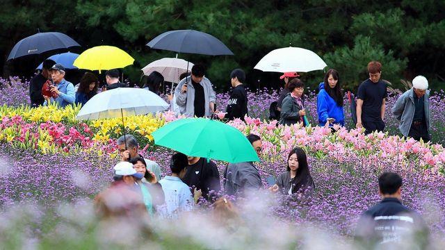 강원 대체로 흐리고 비…낮 최고 20도