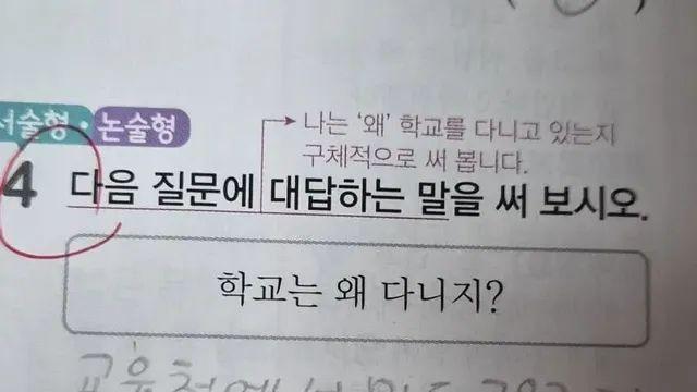 너 학교 왜 다녀?,,