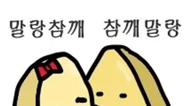 3040인데 노화 느리다는 사람들 특