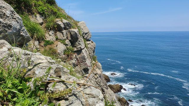 이게 여기 있었다니…일본 특산식물인데 전남 진도서 발견된 희귀종 '이것'