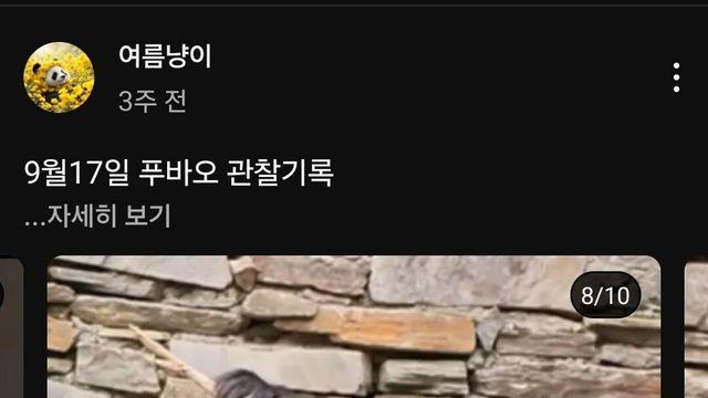 어느 유튜버의 푸바오 관찰기록