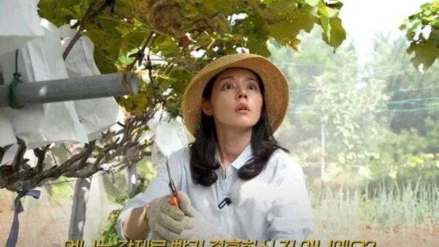 연정훈 프러포즈 불만 한가인 