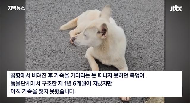6일 동안 