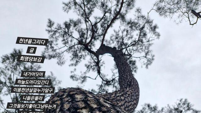 [보감과의 동행143]  천년을그리다