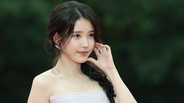 “'탄핵집회 선결제' 아이유는 중국인 간첩” 주장한 악플러의 결말