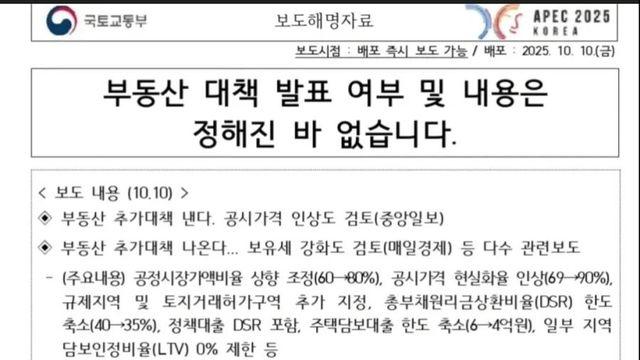 정부 오피셜 : 지금은 부동산대책 없음