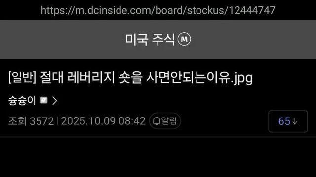 [스압] 절대 레버리지 숏을 사면 안되는 이유,,