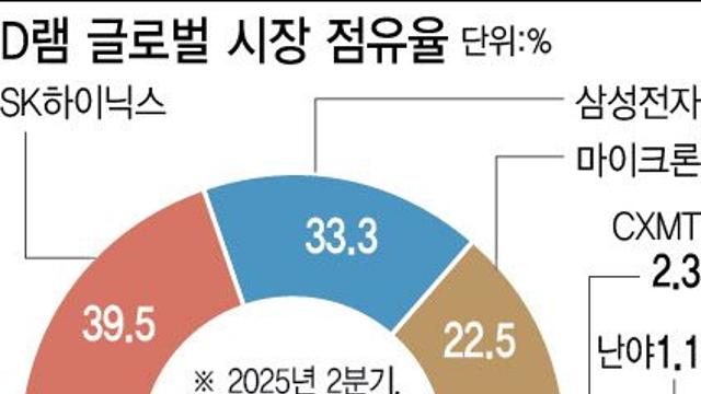 판도 바뀐 D램 시장…SK하이닉스 우위 당분간 지속할듯