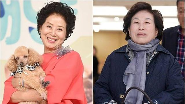 '짠순이' 전원주가 호캉스를…'건강이상설' 후 '럭셔리' 선우용여처럼 [엑's 이슈]