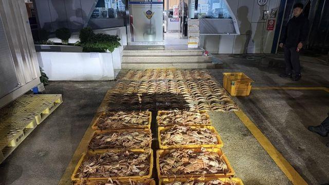 암컷대게 2천여마리 잡아 유통하려던 선장 등 2명 체포