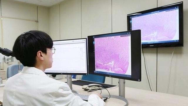 현미경 대신 AI가 병리진단…
