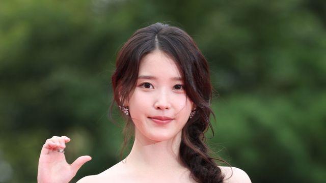 “아이유는 간첩”... 男 악플러, 1심서 징역형 집행유예