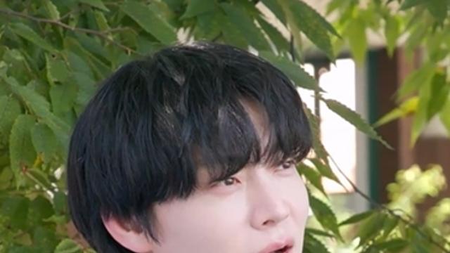 '돌싱' 안재현, 다정한 '일일 아빠' 자처…쯔양·파트리샤에 