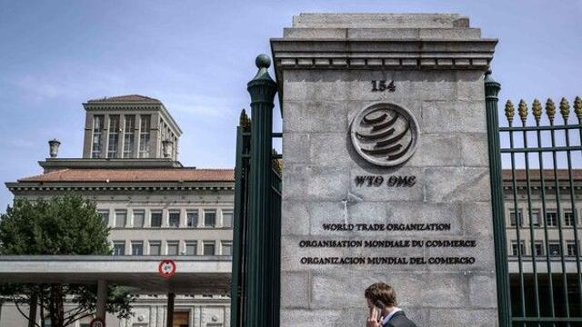 WTO, 올해 세계 무역 성장률 2.4%로 상향… “AI 수요가 무역 회복 견인”