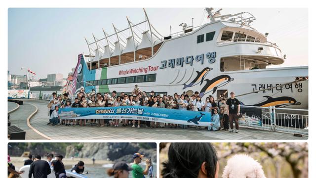 울산시,‘반려동물 친화 관광도시’ 조성 역량 집중 ...관광 패러다임 전환 나서